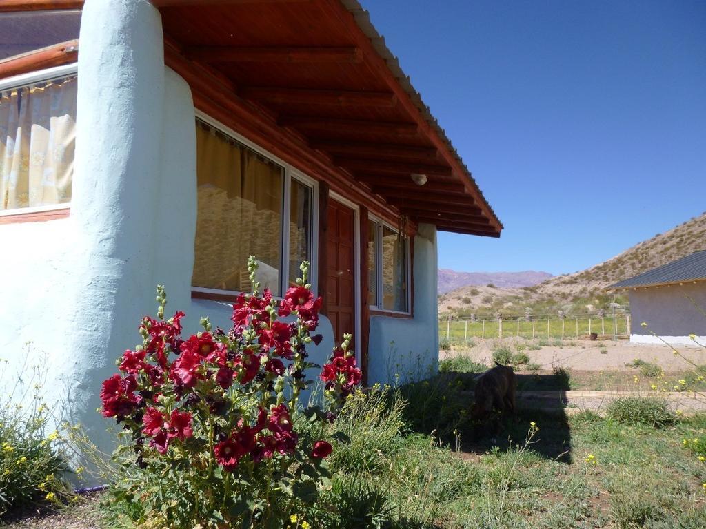 Valle Del Cielo 우스파야타 객실 사진